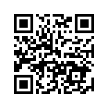 两年半视频app