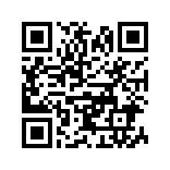 视频马赛克app