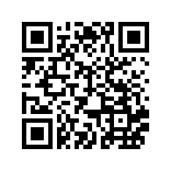 全民写小说app