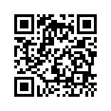 主题桌面大全app