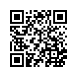 应用隐藏双开app