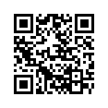 全国违章查询APP