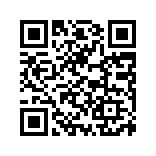 小X分身app