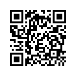 松果出行APP