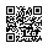 个人所得税查询app