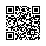 i国网app