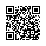 Fly音乐-Plus